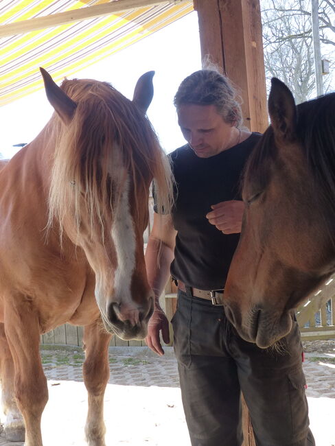Tierkommunikation mit Pferden..., Roy Klawitter, Therapy & Treatment, Triebel/Vogtland