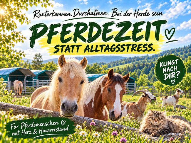 Pferdezeit statt Alltagsstress - Pferdemensch gesucht, Brigitte Wagner, Horse Sharing, Ostra