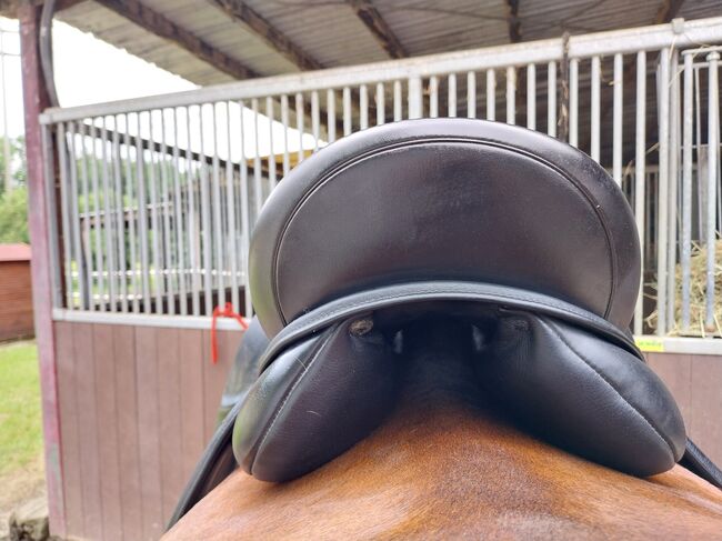 Verkaufe   Dressursattel Sattlerei Preiss, Preiss  MSP Dressursattel, Pinzgauer, Dressage Saddle, Rheinfelden 1, Image 2