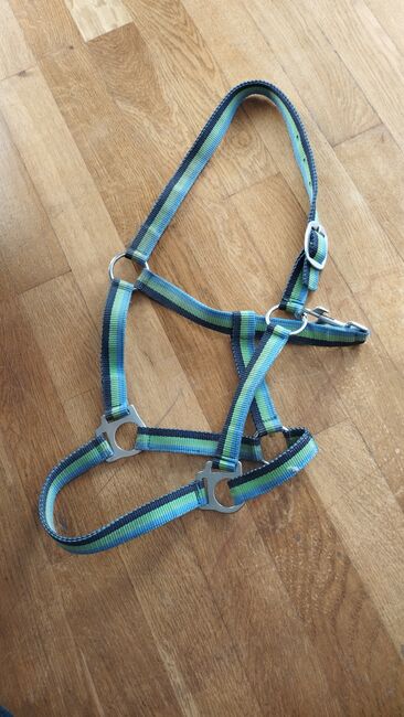 VERKAUFE Nylon Halfter Cob blau-grün, Budapest, Antonia S., Halters, Hurlach