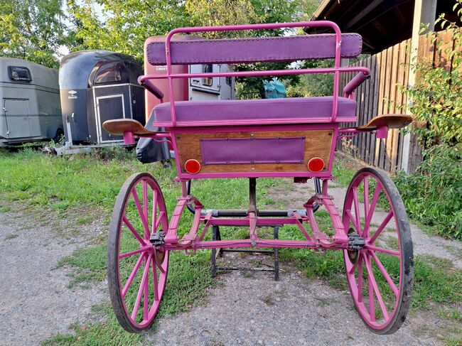 Verkaufe gepflegten großen Burger Gig Sulky Kutsche für Pferde, Burger, Urmeli Urmel, Carriages, Ostelsheim, Image 3