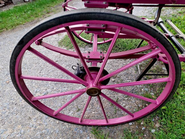Verkaufe gepflegten großen Burger Gig Sulky Kutsche für Pferde, Burger, Urmeli Urmel, Carriages, Ostelsheim, Image 10