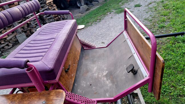 Verkaufe gepflegten großen Gig Sulky Kutsche für Pferde, Urmeli Urmel, Carriages, Ostelsheim, Image 5
