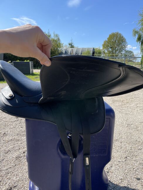 Verkaufe VS Kiefer Bern, Kiefer Bern, Nicole Thiede, All Purpose Saddle, Miltzow, Image 5
