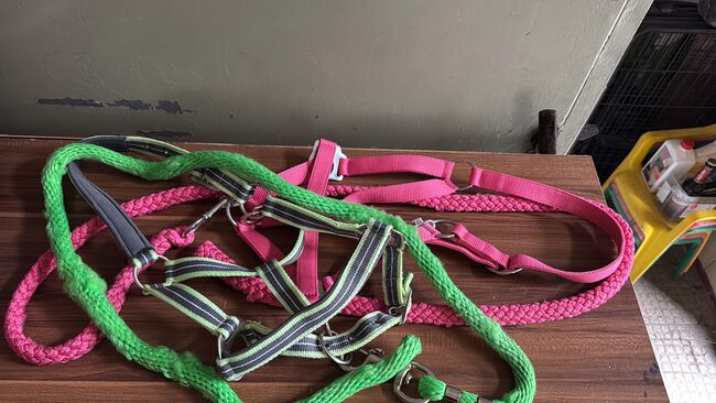 Zubehör für Pony, Bianca , Halters, Schöningen 