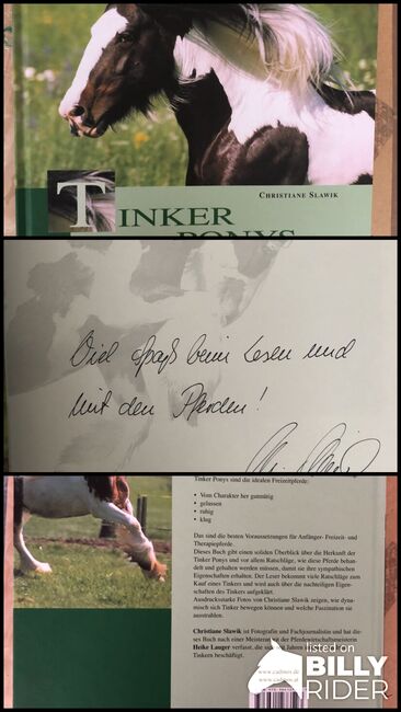Tinker Ponys Irlands coole Schecken gebundenes Buch *ungelesen*, Karin H, Książki, Rodgau, Image 4