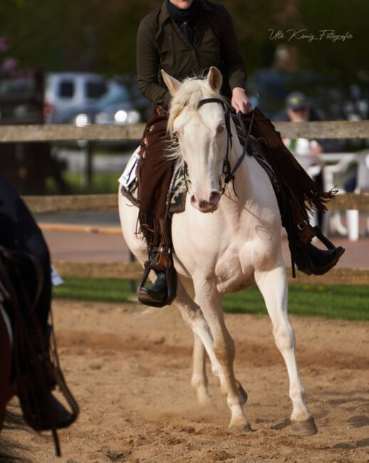 engagierte Quarter Horse Mix Stute in ausgefallener Farbe, Kerstin Rehbehn (Pferdemarketing Ost), Horses For Sale, Nienburg, Image 5