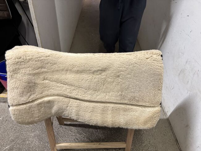 Toklat Orthoimpact, Toklat Orthoimpact, Céline Leonardo, Western Pads, Rüti ZH, Image 4
