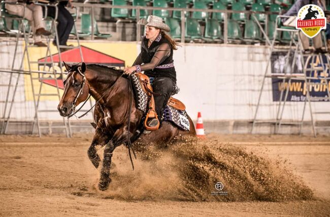 Toller Allrounder für Turnier und Freizeit abzugeben, Kerstin Rehbehn (Pferdemarketing Ost), Pferd kaufen, Nienburg, Abbildung 8