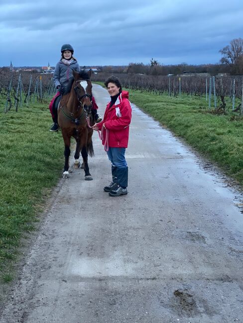 Tolles Familienpferd, Nina Kühn, Pferd kaufen, Dienheim , Abbildung 10