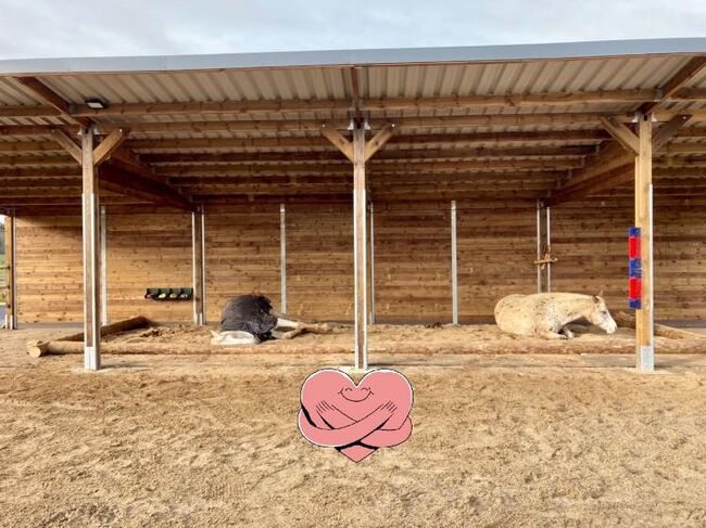 TOP-Angebot: Pferdeunterstand, Weideunterstand & Offenstall kaufen - Weidehütte, AUSSENBOXEN Pferdeunterstand - Weideunterstand - Unterstand - Offenstall bauen, AUSSENBOXEN (AUSSENBOXEN Sp. z o.o.), Horse & Stable Mats, Wałcz, Image 14