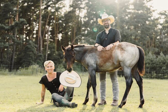 Top Allround Prospekt in Traumfarbe, Kerstin Rehbehn (Pferdemarketing Ost), Pferd kaufen, Nienburg, Abbildung 11