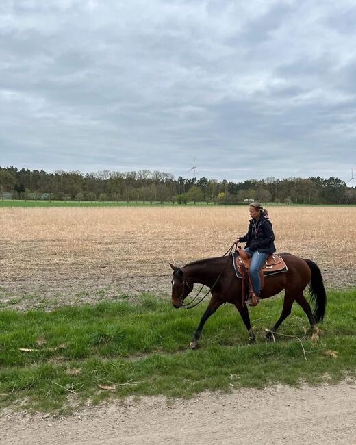 Top ausgebildete Quarter Horse Stute, Kerstin Rehbehn (Pferdemarketing Ost), Pferd kaufen, Nienburg, Abbildung 12