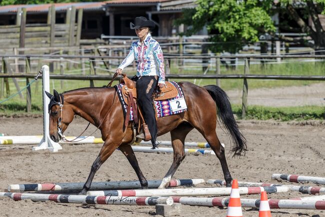 Top ausgebildete Quarter Horse Stute, Kerstin Rehbehn (Pferdemarketing Ost), Pferd kaufen, Nienburg, Abbildung 10