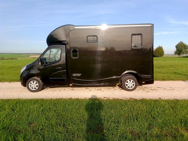 Top gebrauchte Pferdetransporter und Pferdeanhänger + Wohnabteil, Gerhard Strobel (Dickenherr Trucks und Trailers), Horse Trailers, Baden-Württemberg - Unterschneidheim, Image 13