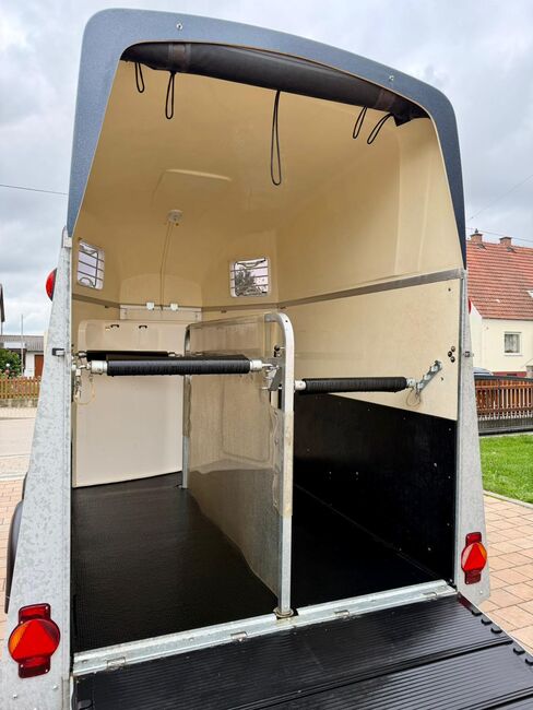 ❗️TOP Humbaur Zephir Aero ALUBODEN Pferdeanhänger Pferdehänger, Humbaur  Zephir, Fuchs Daniel, Ellgau - Pferdeanhänger seit 2016  (Nutzfahrzeughandel und Vermietung Daniel Fuchs ), Horse Trailers, Ellgau , Image 11