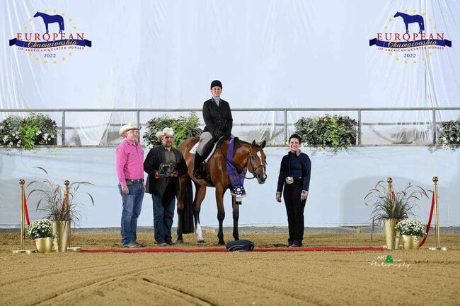 Top Hunter/Allround Prospect, Kerstin Rehbehn (Pferdemarketing Ost), Horses For Sale, Nienburg, Image 3