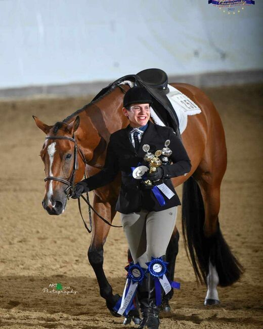 Top Hunter/Allround Prospect, Kerstin Rehbehn (Pferdemarketing Ost), Horses For Sale, Nienburg, Image 8