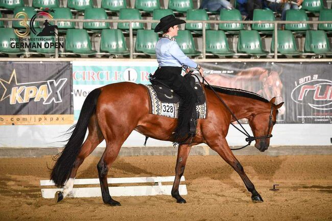 Top Hunter/Allround Prospect, Kerstin Rehbehn (Pferdemarketing Ost), Horses For Sale, Nienburg