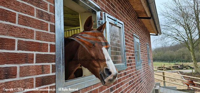 TOP - Stallfenster, Türen und Tore für Stall und Paddock: Stalltüren, Boxentüren, Schiebetür, AUSSENBOXEN Pferdestalltor - Stalltüren - Stalltore - Stalltür - Paddocktüren, AUSSENBOXEN (AUSSENBOXEN), Stabilne maty, Wałcz, Image 6