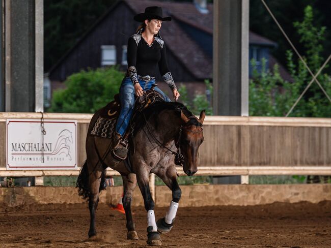 top Reining/Ranch Riding Prospekt ready to show, Kerstin Rehbehn (Pferdemarketing Ost), Horses For Sale, Nienburg, Image 6