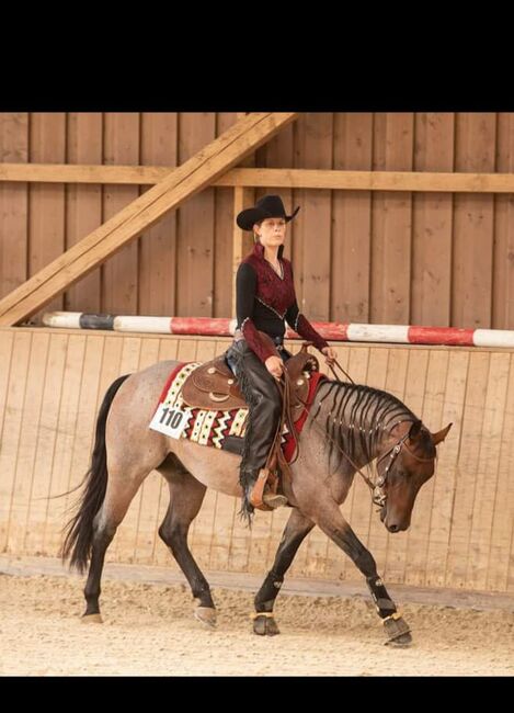 top Reining/Ranch Riding Prospekt ready to show, Kerstin Rehbehn (Pferdemarketing Ost), Pferd kaufen, Nienburg, Abbildung 7