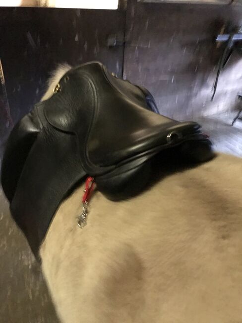 Top Reiter Sattel, Tölt/Isländersattel, Top Reiter, Sina, Icelandic Saddle, Königsmoor 