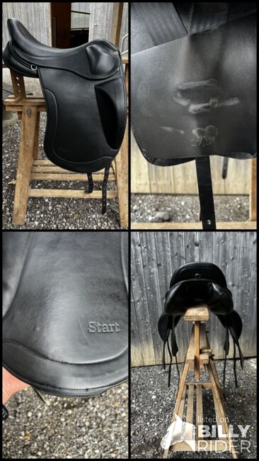 Top Reiter Start Plus, Top Reiter  Start Plus , Hannah Wolf , Icelandic Saddle, Innsbruck , Image 6