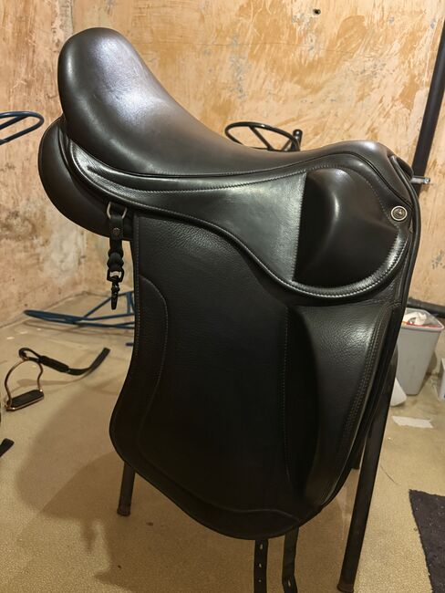 Topreiter Start Plus, Topreiter  Start Plus , Daniela Wunderlich, Icelandic Saddle, Bischheim , Image 2