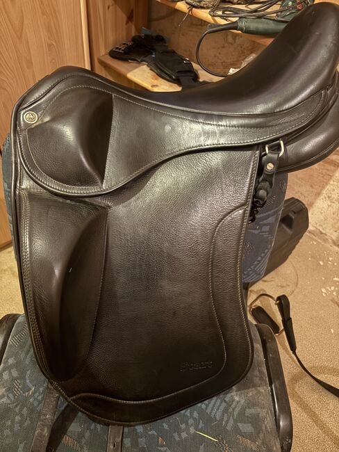 Topreiter Start Plus, Topreiter  Start Plus , Daniela Wunderlich, Icelandic Saddle, Bischheim , Image 4