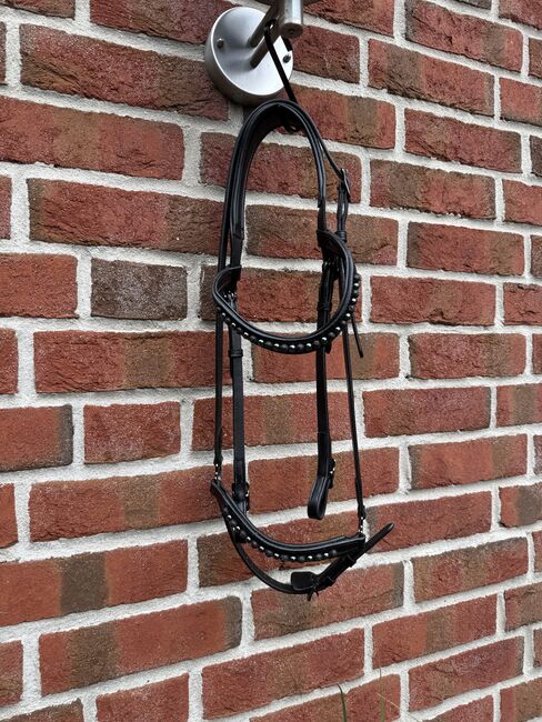 Topreiter Trense Kjarkur 2-teilig, Topreiter  Trense Kjarkur 2 teilig, Melanie, Bridles & Headstalls, Rehburg-Loccum Münchehagen