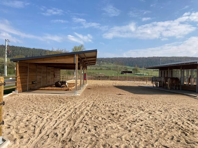 TOP Unterstand für Pferde - Pferdeunterstand - Weideunterstand - Weidehütte pferd, Offenstall bauen,, AUSSENBOXEN Pferdeunterstand - Weideunterstand - Unterstand, AUSSENBOXEN (AUSSENBOXEN), Horse & Stable Mats, Wałcz, Image 14