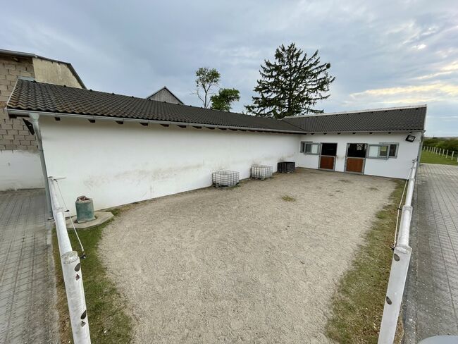 Top-Stall für bis zu 5 Pferde / 8 Ponys im Weinviertel, Claudia, Equestrian Properties, Kleinharras, Image 11