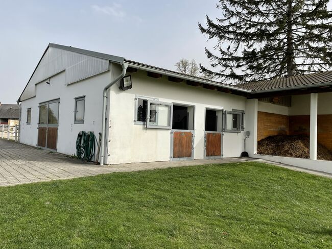 Top-Stall für bis zu 5 Pferde / 8 Ponys im Weinviertel, Claudia, Pferdeimmobilien, Kleinharras, Abbildung 6