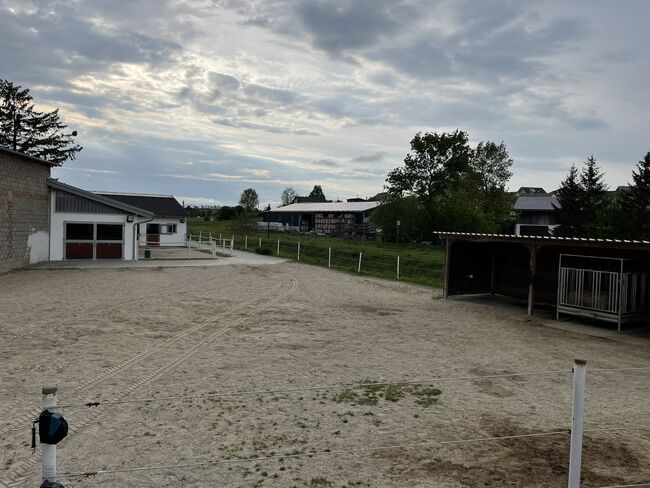 Top-Stall für bis zu 5 Pferde / 8 Ponys im Weinviertel, Claudia, Pferdeimmobilien, Kleinharras, Abbildung 10