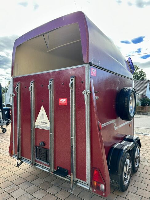 ❗️TOP Thiel Sinus Vollpoly ALUBODEN Pferdeanhänger Pferdehänger, Thiel  Sinus , Fuchs Daniel, Ellgau - Pferdeanhänger seit 2016  (Nutzfahrzeughandel und Vermietung Daniel Fuchs ), Horse Trailers, Ellgau , Image 14