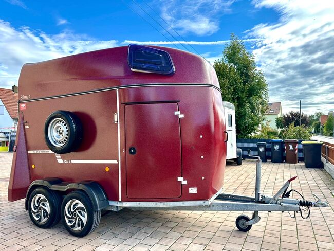 ❗️TOP Thiel Sinus Vollpoly ALUBODEN Pferdeanhänger Pferdehänger, Thiel  Sinus , Fuchs Daniel, Ellgau - Pferdeanhänger seit 2016  (Nutzfahrzeughandel und Vermietung Daniel Fuchs ), Horse Trailers, Ellgau , Image 9