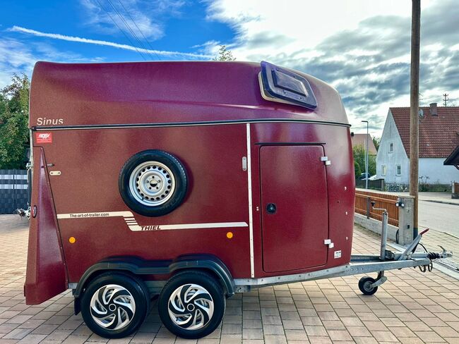 ❗️TOP Thiel Sinus Vollpoly ALUBODEN Pferdeanhänger Pferdehänger, Thiel  Sinus , Fuchs Daniel, Ellgau - Pferdeanhänger seit 2016  (Nutzfahrzeughandel und Vermietung Daniel Fuchs ), Horse Trailers, Ellgau , Image 5