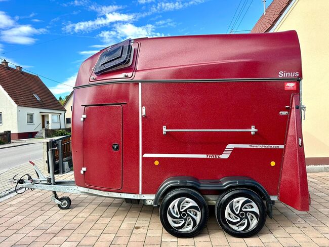 ❗️TOP Thiel Sinus Vollpoly ALUBODEN Pferdeanhänger Pferdehänger, Thiel  Sinus , Fuchs Daniel, Ellgau - Pferdeanhänger seit 2016  (Nutzfahrzeughandel und Vermietung Daniel Fuchs ), Horse Trailers, Ellgau , Image 12