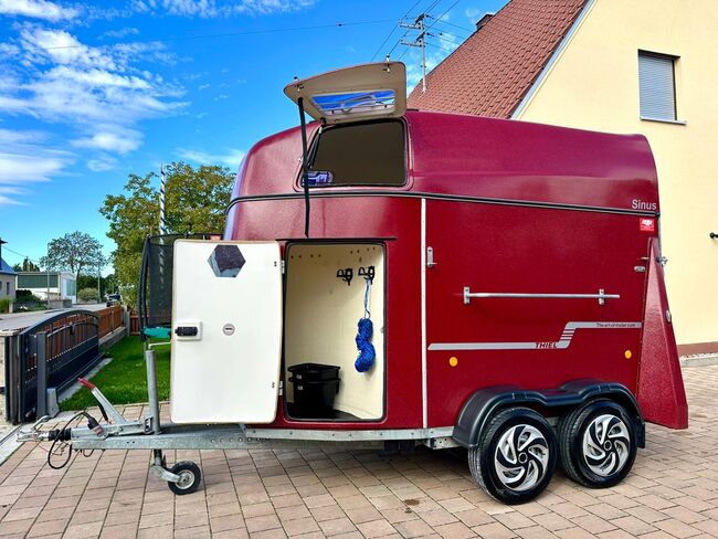 ❗️TOP Thiel Sinus Vollpoly ALUBODEN Pferdeanhänger Pferdehänger, Thiel  Sinus , Fuchs Daniel, Ellgau - Pferdeanhänger seit 2016  (Nutzfahrzeughandel und Vermietung Daniel Fuchs ), Horse Trailers, Ellgau , Image 13
