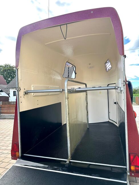 ❗️TOP Thiel Sinus Vollpoly ALUBODEN Pferdeanhänger Pferdehänger, Thiel  Sinus , Fuchs Daniel, Ellgau - Pferdeanhänger seit 2016  (Nutzfahrzeughandel und Vermietung Daniel Fuchs ), Horse Trailers, Ellgau , Image 10