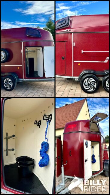 ❗️TOP Thiel Sinus Vollpoly ALUBODEN Pferdeanhänger Pferdehänger, Thiel  Sinus , Fuchs Daniel, Ellgau - Pferdeanhänger seit 2016  (Nutzfahrzeughandel und Vermietung Daniel Fuchs ), Horse Trailers, Ellgau , Image 18