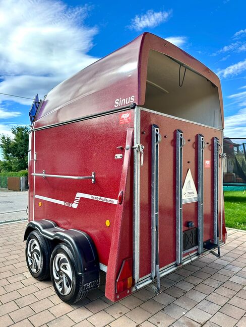 ❗️TOP Thiel Sinus Vollpoly ALUBODEN Pferdeanhänger Pferdehänger, Thiel  Sinus , Fuchs Daniel, Ellgau - Pferdeanhänger seit 2016  (Nutzfahrzeughandel und Vermietung Daniel Fuchs ), Horse Trailers, Ellgau , Image 7