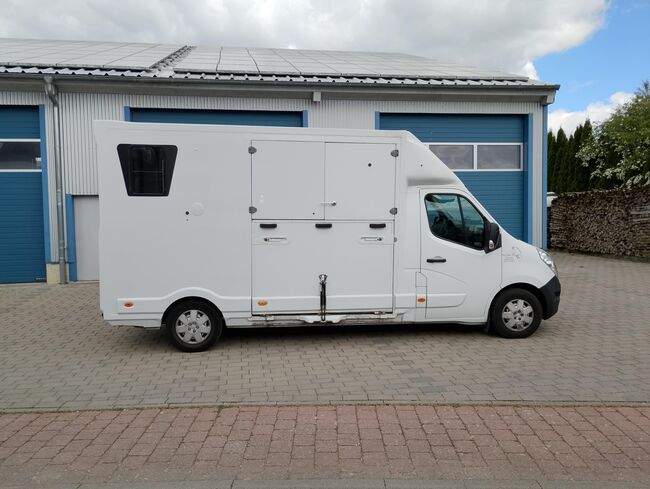 Top gebrauchte Pferdetransporter und Pferdeanhänger + Wohnabteil, Gerhard Strobel (Dickenherr Trucks und Trailers), Horse Trailers, Baden-Württemberg - Unterschneidheim, Image 10