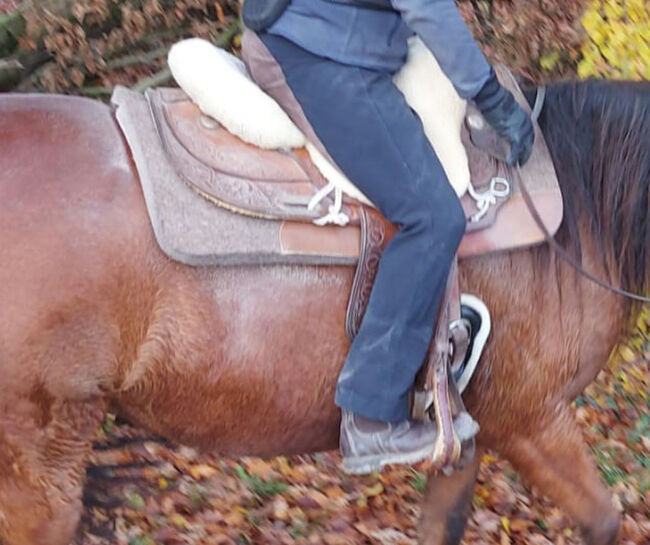 Top Westernsattel Billy Cook, Reiner, FQ Baum, 64 cm, Billy Cook  Reiner, Sabine , Western Saddle, Roseburg, Image 9