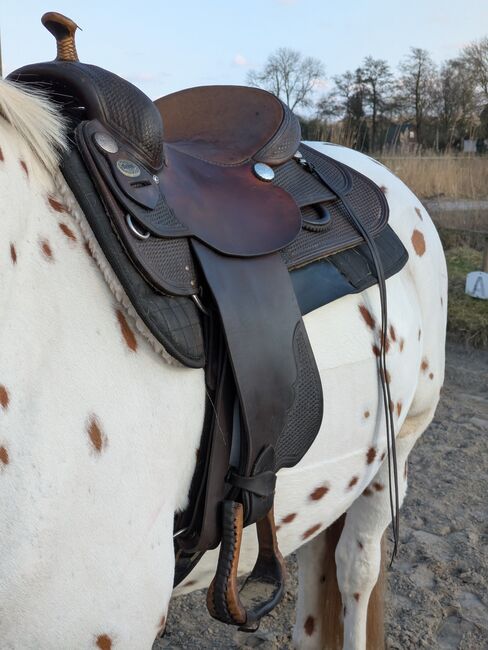 **TOP** Westernsattel Diamond C 16 Zoll Quarterhorsebaum Fork 02, Diamond C , Line Backsen, Western Saddle, Hamburg, Image 4