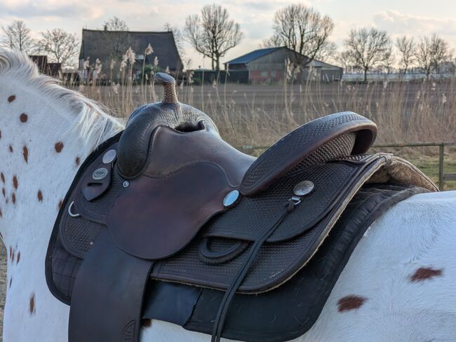 **TOP** Westernsattel Diamond C 16 Zoll Quarterhorsebaum Fork 02, Diamond C , Line Backsen, Western Saddle, Hamburg, Image 9