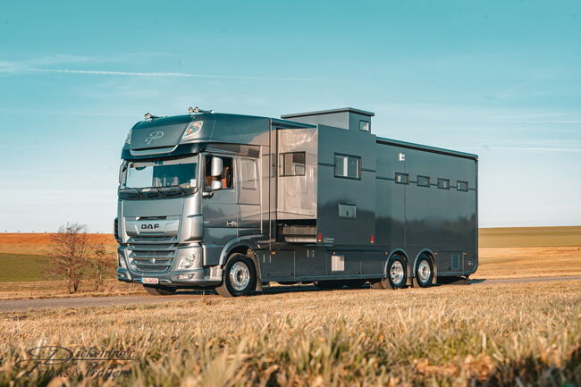 Top gebrauchte Pferdetransporter und Pferdeanhänger + Wohnabteil, Gerhard Strobel (Dickenherr Trucks und Trailers), Horse Trailers, Baden-Württemberg - Unterschneidheim, Image 6