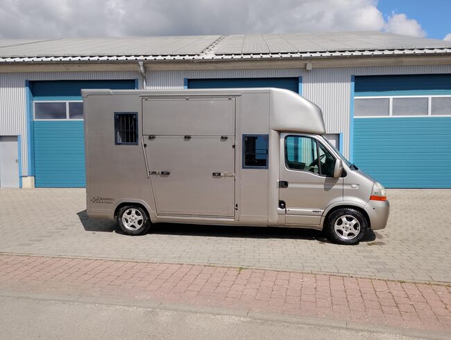 Top gebrauchte Pferdetransporter und Pferdeanhänger + Wohnabteil, Gerhard Strobel (Dickenherr Trucks und Trailers), Horse Trailers, Baden-Württemberg - Unterschneidheim, Image 17