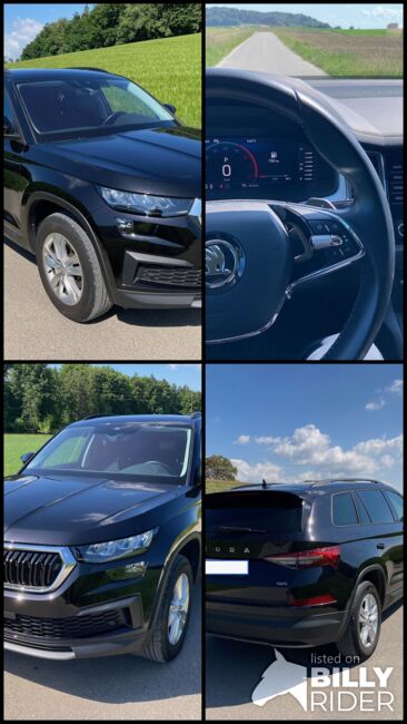 Topp-Zugfahrzeug, Skoda Kodiaq Ambition TDI SCR 4x4, Roland, Pferdeanhänger, Tscheppach, Abbildung 5
